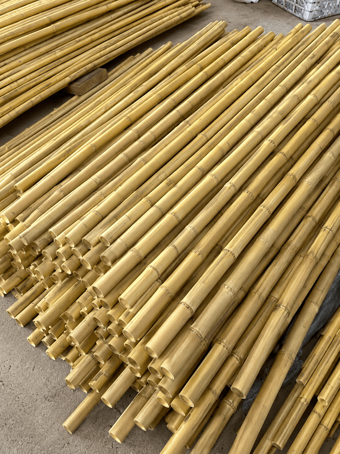 Bamboo Poles